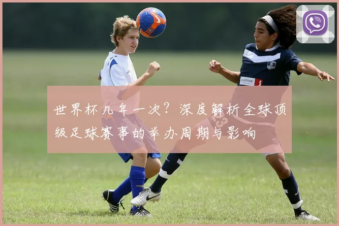 世界杯几年一次?深度解析全球顶级足球赛事的举办周期与影响