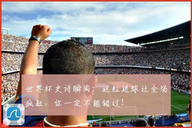 世界杯史诗瞬间：这粒进球让全场疯狂，你一定不能错过！