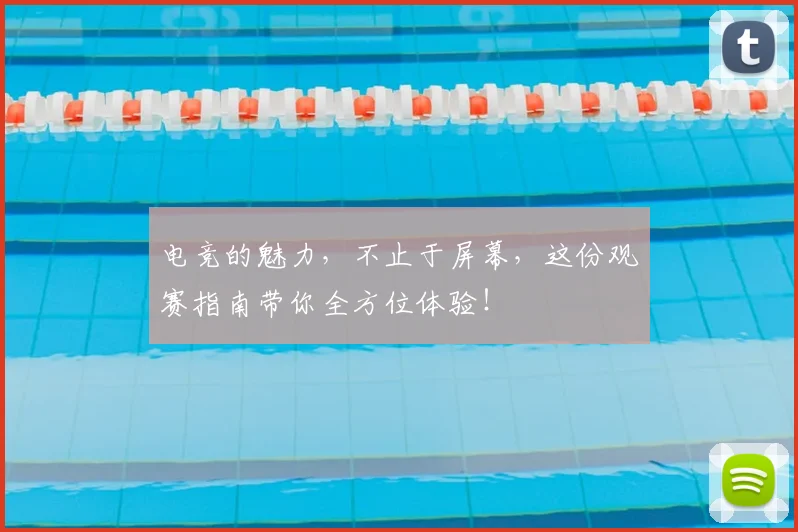 电竞的魅力,不止于屏幕,这份观赛指南带你全方位体验!